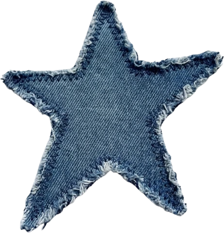 Blue Label stitched denim star